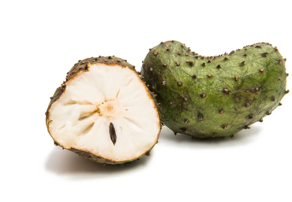 What Is Soursop Learn About This Tropical Fruit As Known As Graviola 4333