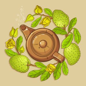 Soursop tea