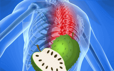 soursop for back pain