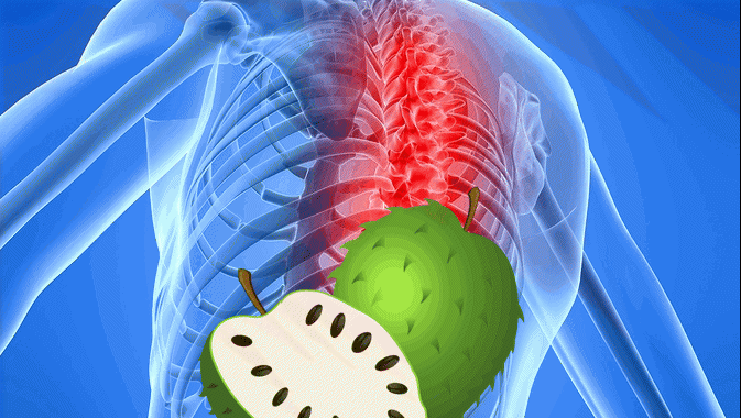 soursop for back pain